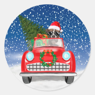 Adesivo Carro Condutor De Cachorro No Natal Da Neve