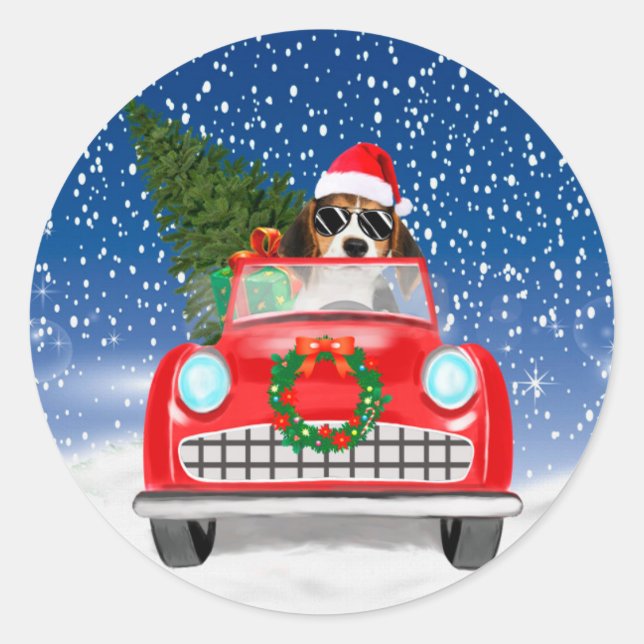 Adesivo Carro Condutor De Cachorros De Beagle No Natal Da  (Frente)