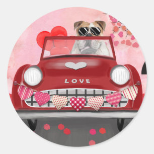 Adesivo Carro de Condução de Bulldog Inglês com Namorados