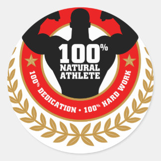 Adesivo carroçaria.png