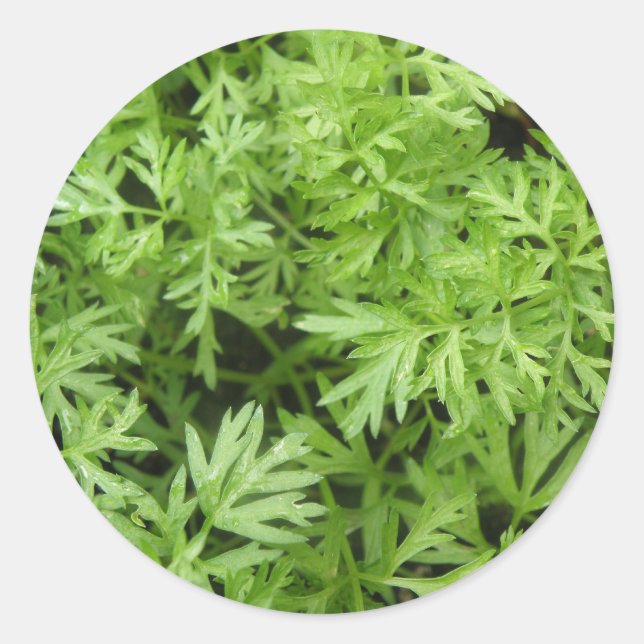 Adesivo Carrot Tops Stickers (Frente)