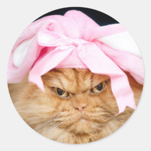 Adesivo Cartão de Páscoa de Bunny Cat