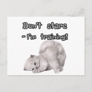 Adesivo / Cartão Postal de Gato Engraçado