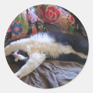 Adesivo Cartão Postal do Gato Tuxedo Fofo Fazendo uma Onda