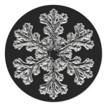 Cartões de natal Silver Snowflake