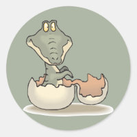 Cartoon de Alligador de Bebê Cónico, Hatching de E