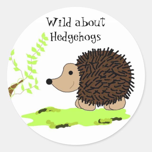 Adesivo Cartoon Hedgehog (Frente)