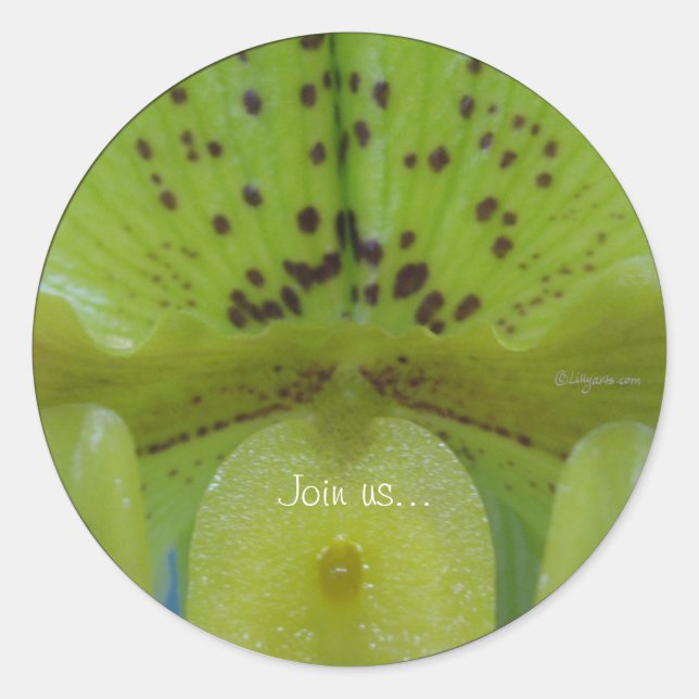 Adesivo Cartreuse Green Slipper Orchid Wedds Seals (Frente)