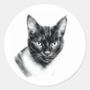 Adesivo Carvão de Gato