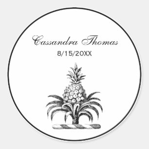 Adesivo Casaco de Ananás Herádico de Pré-Papoeira