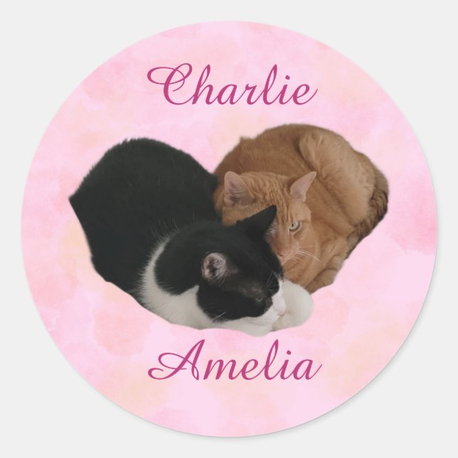 Adesivo Casal de Gatos Seus Nomes (Frente)