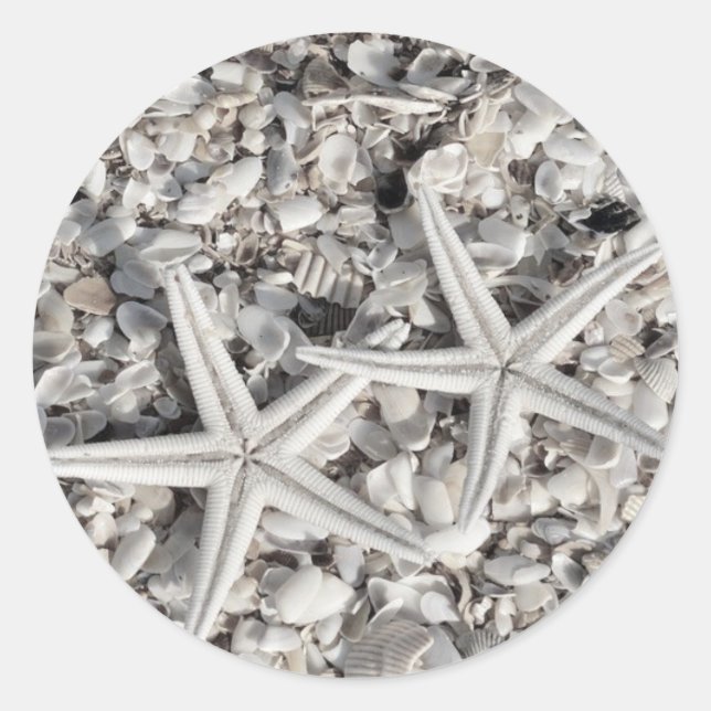 Adesivo Casal de Starfish sobre os Stickers da Praia (Frente)