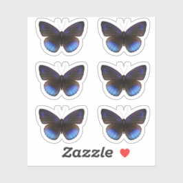 Adesivo Casamento com o Sticker Blue e Black Butterfly