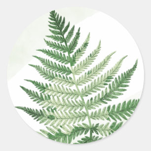 Adesivo Casamento de Fern Verde Minimalista