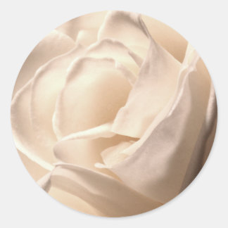 Adesivo Casamento De Rosa Branca E Foco De Envelope