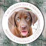 Adesivo Casamento Dourado Elegante de Fotografias Personal<br><div class="desc">Adicione o toque final aos seus anúncios de casamento de cães com estas fotos personalizadas, e personalizado 'Meus Humanos Casaram-se com adesivos. Personalize com sua foto, nomes e data favoritos. COPYRIGHT © 2020 Judy Burrows, Black Dog Art - Todos Os Direitos Reservados. Vinheta redonda clássica Elegante de foto Elegante de...</div>