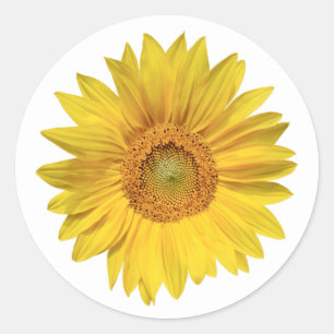 Adesivo Casamento Flor de Girassol Amarelo Floral