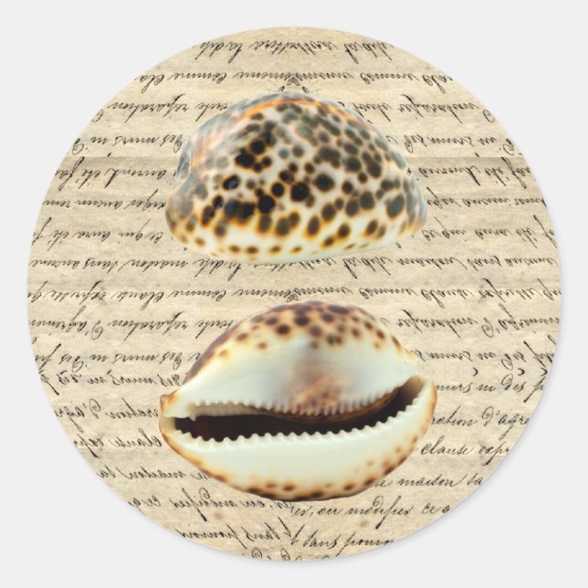 Adesivo Cascas de Cowrie (Frente)
