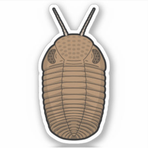 Adesivo Castanho Phacops Trilobite - Vinil Animal Pré-Hist