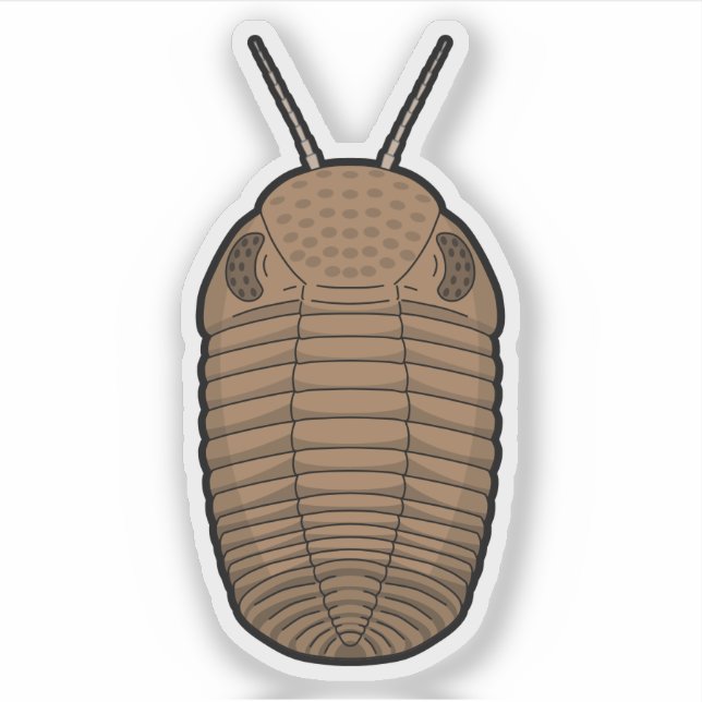 Adesivo Castanho Phacops Trilobite - Vinil Animal Pré-Hist (Frente)