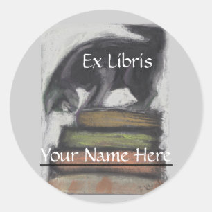 Adesivo Cat em Pilha de Livros - Arte Original