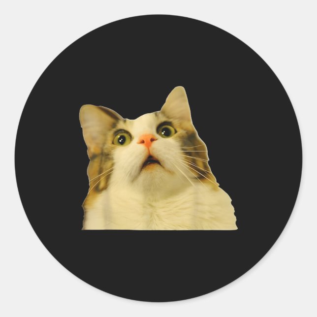 Adesivo Cat Meme Shock Cat Face Funny Meme Cat Silly Gift  (Frente)