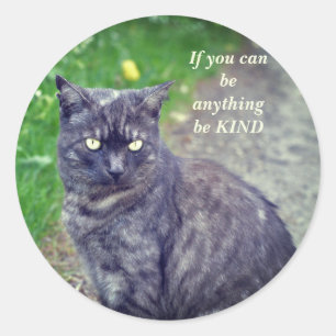 Adesivo Cat Posicionando em uma Motivação de Caminhada