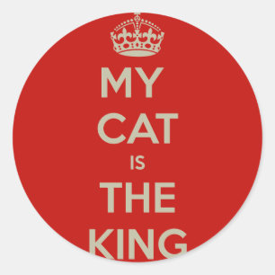Adesivo Cat Qoute