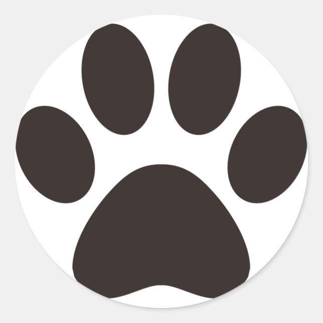 ADESIVO CAT_S (Frente)