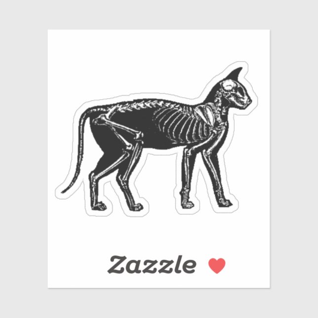 Adesivo Cat Skeleton (Folha)