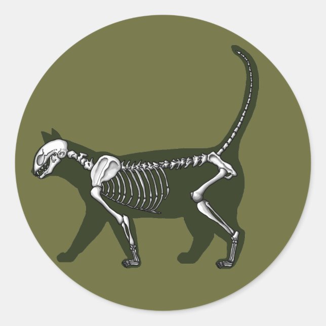 Adesivo Cat Skeleton (Frente)