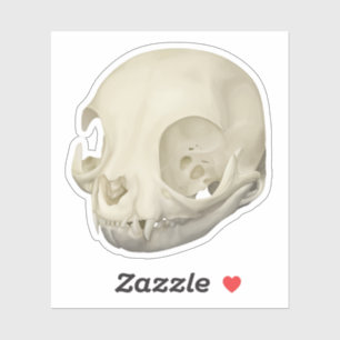 Adesivo Cat Skull