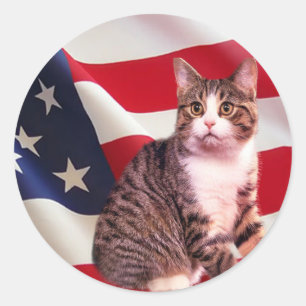 Adesivo Cat Sticker All American