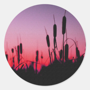 Adesivo Cattails no por do sol