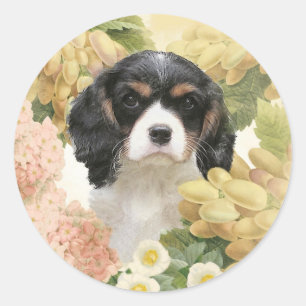 Adesivo Cavaleiro Rei Charles Spaniel