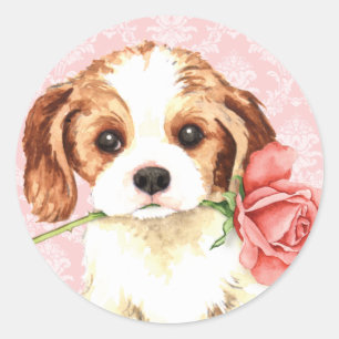 Adesivo Cavalier cor-de-rosa dos namorados