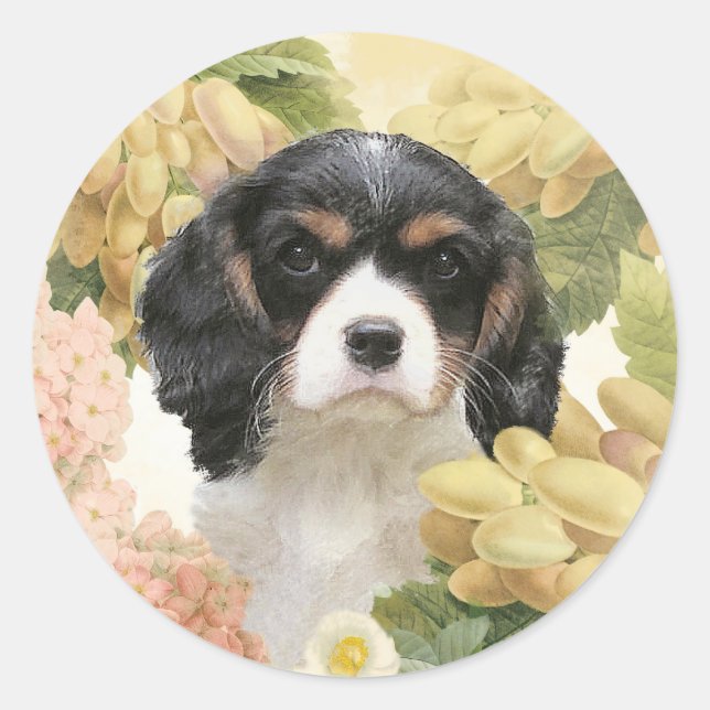 Adesivo Cavalier King Charles Spaniel (Frente)