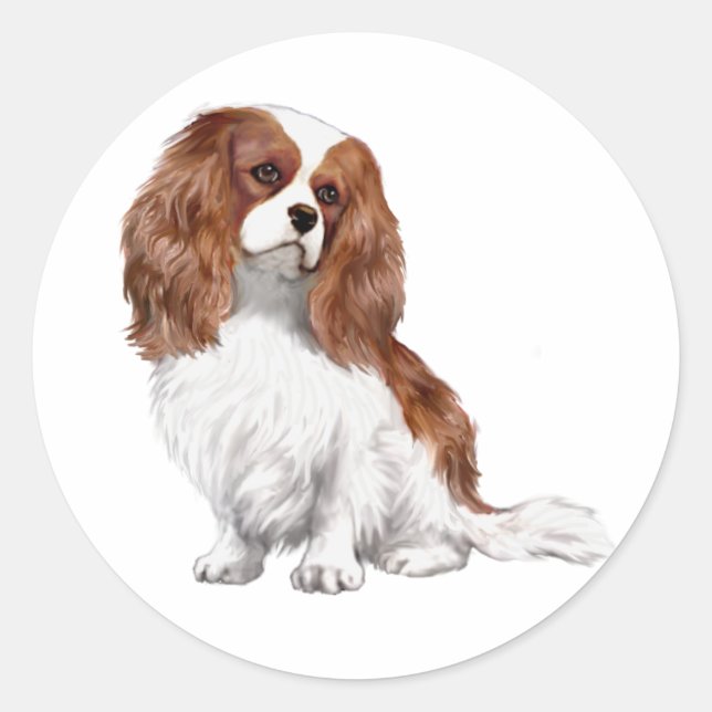 Adesivo Cavalier King Charles Spaniel (A) - Blenheim 1 (Frente)