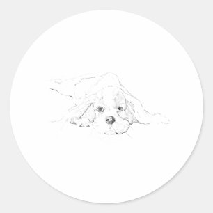 Adesivo Cavalier King Charles Spaniel Animal de Estimação