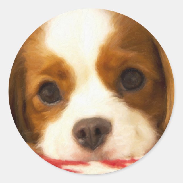 Adesivo Cavalier King Charles Spaniel Floco de Neve (Frente)