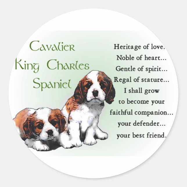 Adesivo Cavalier King Charles Spaniel Gifts (Frente)