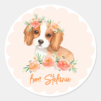 Cavalier King Charles Spaniel Peach Aniversário