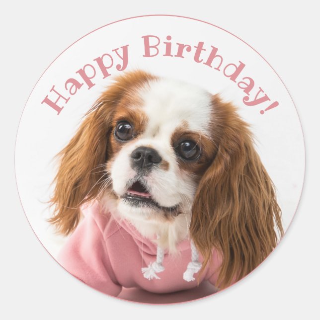 Adesivo Cavalier King Charles Spaniel Pink Feliz Aniversár (Frente)