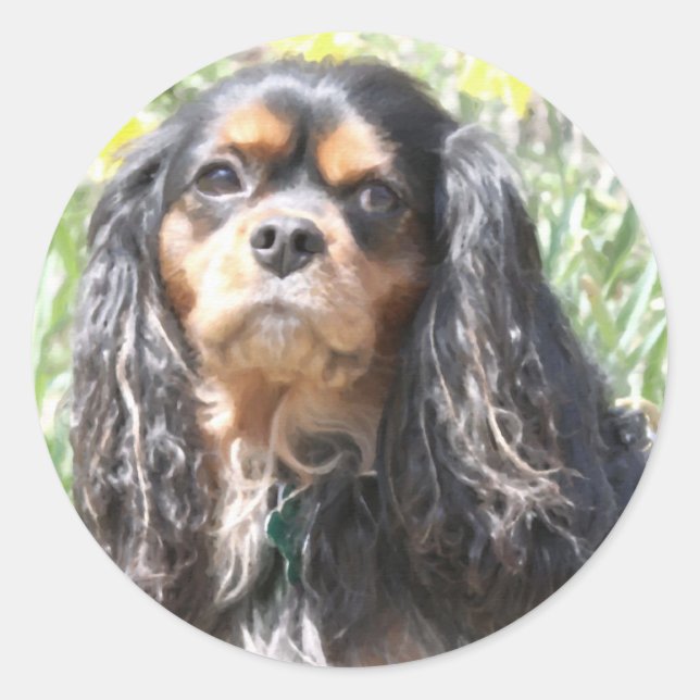 Adesivo Cavalier King Charles Spaniel pintado (Frente)