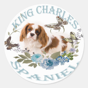 Adesivo Cavalier King Charles Spaniel Stickers