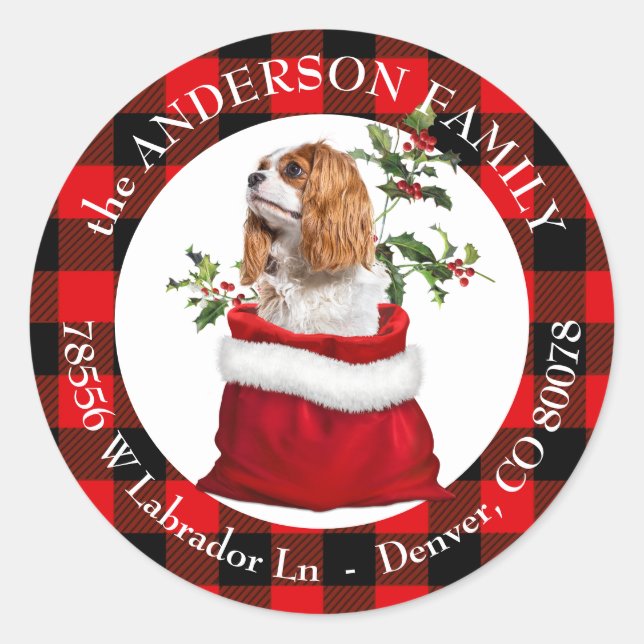 Adesivo Cavalier King Charles Spaniel Xadrez Frame (Frente)