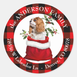 Adesivo Cavalier King Charles Spaniel Xadrez Frame