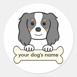 Adesivo Cavalier personalizados