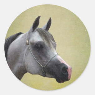 Adesivo Cavalo Árabe Grunge