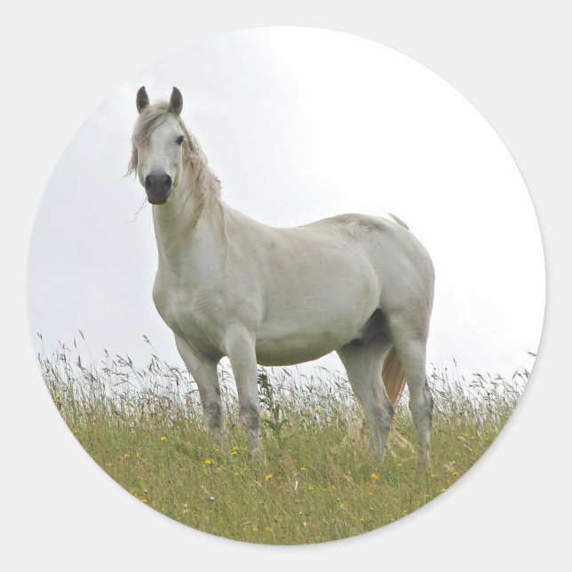 Adesivo Cavalo Branco (Frente)